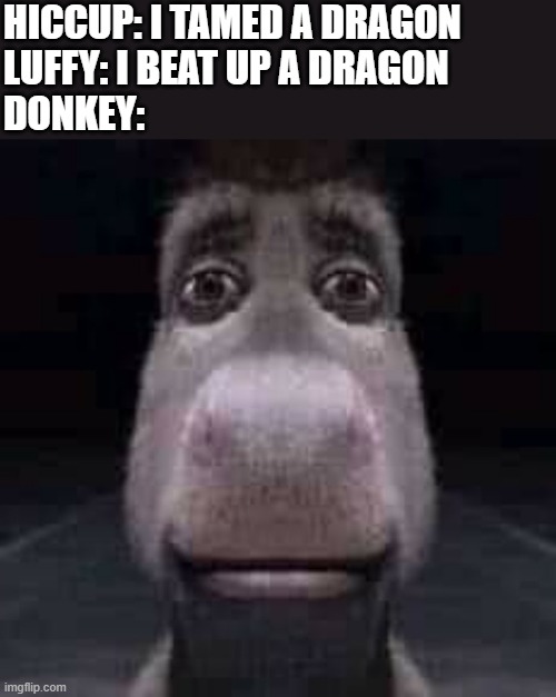 *Careless Whisper starts playing* | HICCUP: I TAMED A DRAGON
LUFFY: I BEAT UP A DRAGON
DONKEY: | image tagged in donkey staring,what did i just see,donkey,hiccup,luffy,dragon | made w/ Imgflip meme maker