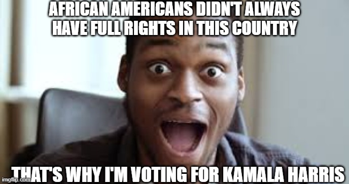 The Non-Sequitur of 2024 | AFRICAN AMERICANS DIDN'T ALWAYS HAVE FULL RIGHTS IN THIS COUNTRY; THAT'S WHY I'M VOTING FOR KAMALA HARRIS | image tagged in 2024 election,african americans,kamala harris,civil rights,united states of america,black people | made w/ Imgflip meme maker