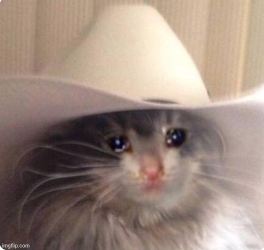 Sad cowboy cat | image tagged in sad cowboy cat | made w/ Imgflip meme maker