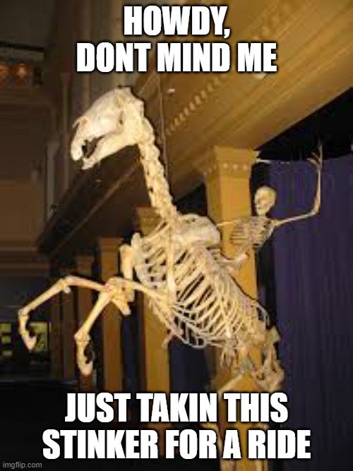 cow skeleton | HOWDY, DONT MIND ME; JUST TAKIN THIS STINKER FOR A RIDE | image tagged in skeleton | made w/ Imgflip meme maker