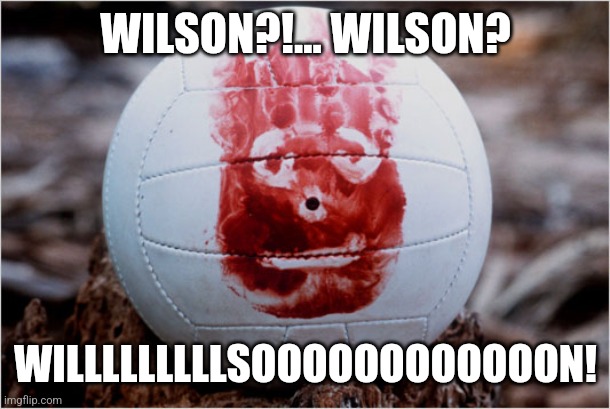 Wilson volleyball Castaway | WILSON?!... WILSON? WILLLLLLLLLSOOOOOOOOOOOON! | image tagged in wilson volleyball castaway | made w/ Imgflip meme maker