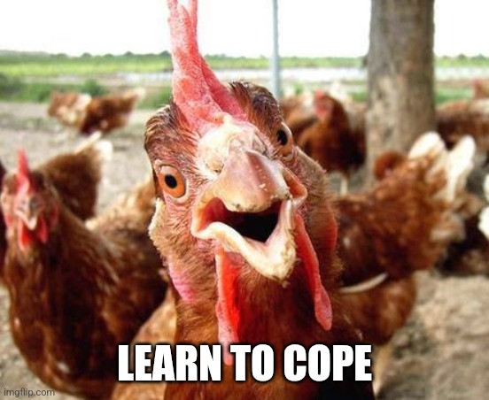 Chicken | LEARN TO COPE | image tagged in chicken | made w/ Imgflip meme maker