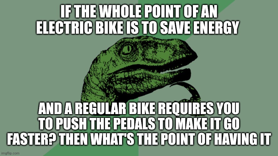 Philosophy Dinosaur | IF THE WHOLE POINT OF AN ELECTRIC BIKE IS TO SAVE ENERGY AND A REGULAR BIKE REQUIRES YOU TO PUSH THE PEDALS TO MAKE IT GO FASTER? THEN WHAT' | image tagged in philosophy dinosaur | made w/ Imgflip meme maker