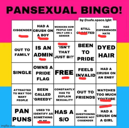 Pansexual Bingo | image tagged in pansexual bingo | made w/ Imgflip meme maker