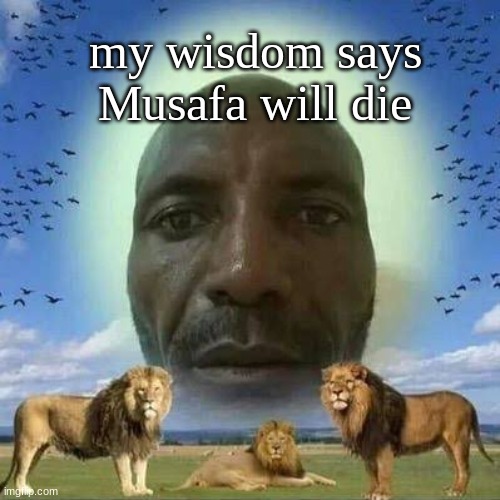 he will die! | my wisdom says Musafa will die | image tagged in lion king | made w/ Imgflip meme maker