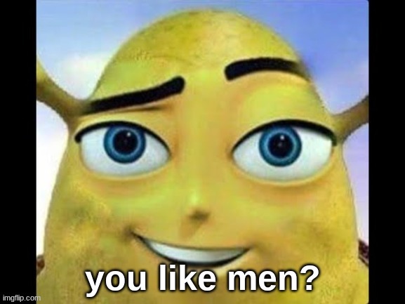 do you? | you like men? | image tagged in shrek,bees | made w/ Imgflip meme maker