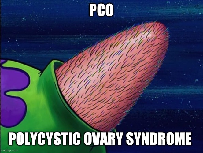 Pcos | PCO; POLYCYSTIC OVARY SYNDROME | image tagged in pcos,periods,ovaries,balls | made w/ Imgflip meme maker