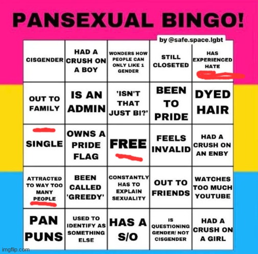 not pansexual | image tagged in pansexual bingo | made w/ Imgflip meme maker