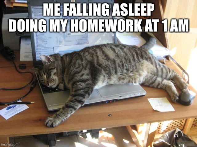 how homework be fr | ME FALLING ASLEEP DOING MY HOMEWORK AT 1 AM | image tagged in relatable,cats,homework | made w/ Imgflip meme maker