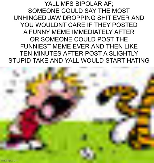 Calvin And Hobbes "You can't DO THAT!" | YALL MFS BIPOLAR AF; SOMEONE COULD SAY THE MOST UNHINGED JAW DROPPING SHIT EVER AND YOU WOULDNT CARE IF THEY POSTED A FUNNY MEME IMMEDIATELY AFTER OR SOMEONE COULD POST THE FUNNIEST MEME EVER AND THEN LIKE TEN MINUTES AFTER POST A SLIGHTLY STUPID TAKE AND YALL WOULD START HATING | image tagged in calvin and hobbes you can't do that | made w/ Imgflip meme maker