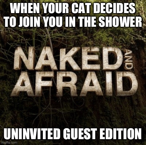 Naked and Afraid | WHEN YOUR CAT DECIDES TO JOIN YOU IN THE SHOWER; UNINVITED GUEST EDITION | image tagged in naked and afraid | made w/ Imgflip meme maker