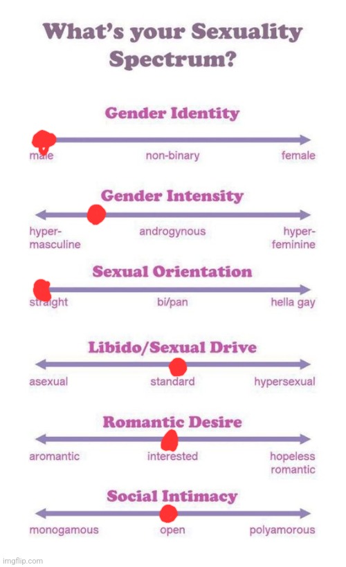 What's your sexuality spectrum? | image tagged in what's your sexuality spectrum | made w/ Imgflip meme maker
