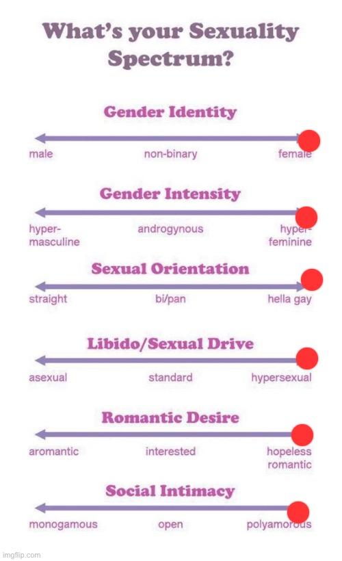 Hey guys it’s me average LGBTQ user | image tagged in what's your sexuality spectrum | made w/ Imgflip meme maker