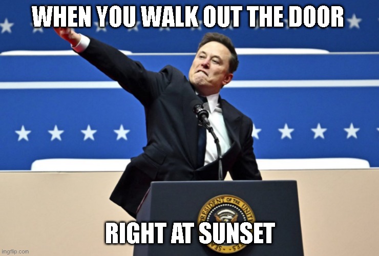 Bright | WHEN YOU WALK OUT THE DOOR; RIGHT AT SUNSET | image tagged in nazi elon | made w/ Imgflip meme maker