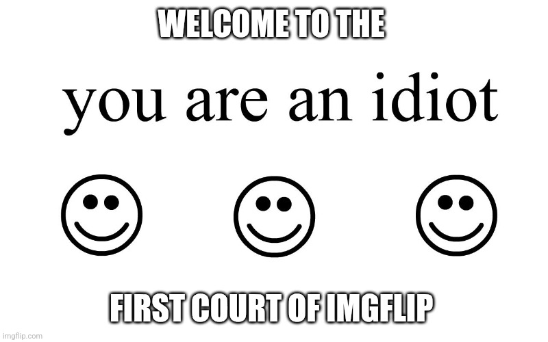 You Are An Idiot!! | WELCOME TO THE; FIRST COURT OF IMGFLIP | image tagged in you are an idiot | made w/ Imgflip meme maker