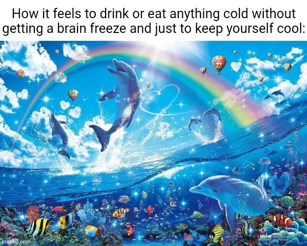 Cold food and drink | How it feels to drink or eat anything cold without getting a brain freeze and just to keep yourself cool: | image tagged in happy dolphin rainbow,cold,brain freeze,memes,blank white template,food and drink | made w/ Imgflip meme maker