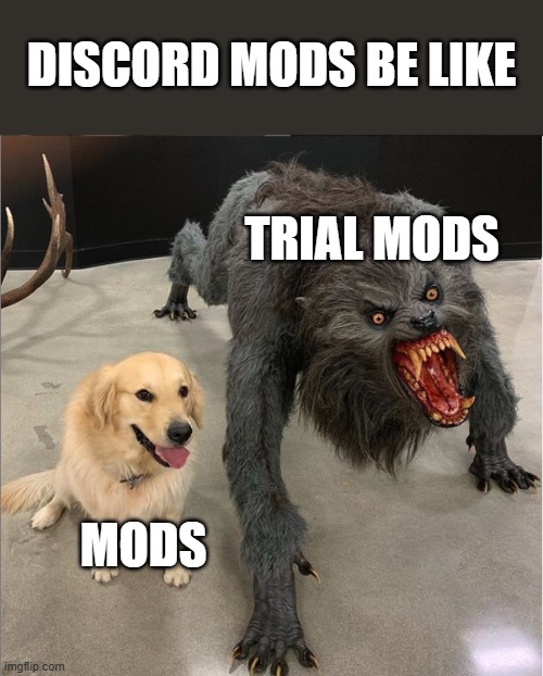 dog vs werewolf | DISCORD MODS BE LIKE; TRIAL MODS; MODS | image tagged in dog vs werewolf | made w/ Imgflip meme maker