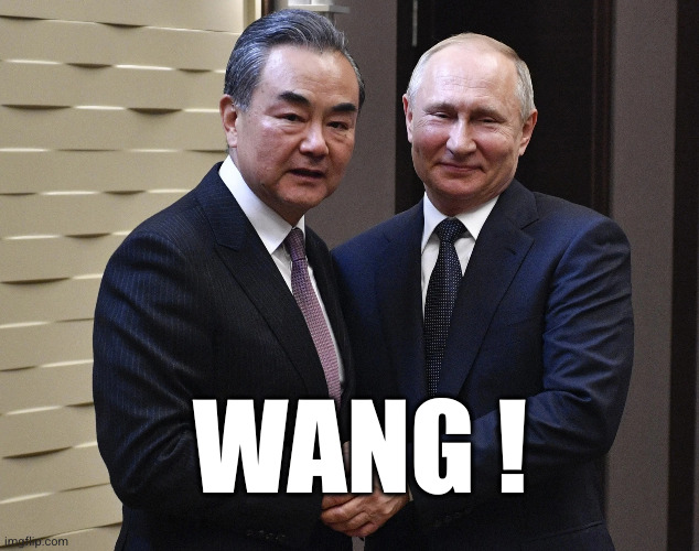 Putin’s Wang | WANG ! | image tagged in putin s wang | made w/ Imgflip meme maker