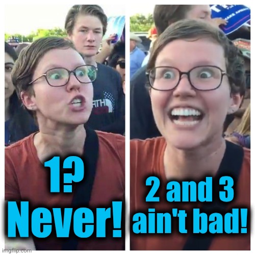 Social Justice Warrior Hypocrisy | 1?
Never! 2 and 3
ain't bad! | image tagged in social justice warrior hypocrisy | made w/ Imgflip meme maker