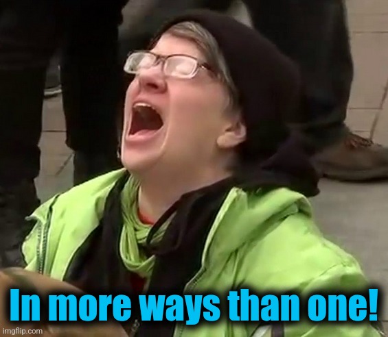 Crying liberal | In more ways than one! | image tagged in crying liberal | made w/ Imgflip meme maker