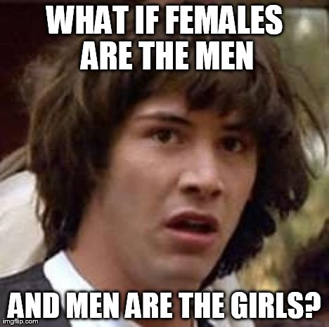 Conspiracy Keanu Meme | WHAT IF FEMALES ARE THE MEN AND MEN ARE THE GIRLS? | image tagged in memes,conspiracy keanu | made w/ Imgflip meme maker