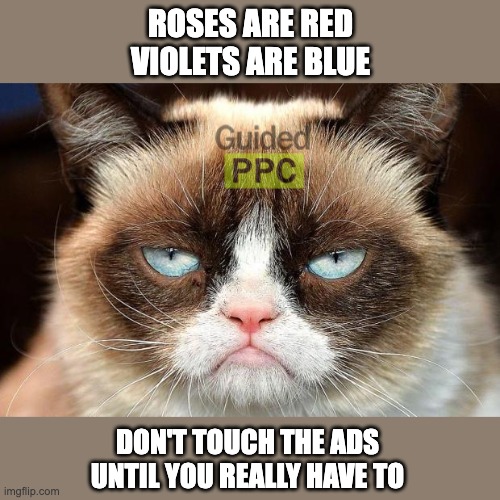 Grumpy Google Ads Cat | ROSES ARE RED
VIOLETS ARE BLUE; DON'T TOUCH THE ADS
UNTIL YOU REALLY HAVE TO | image tagged in memes,grumpy cat not amused,grumpy cat,google ads,youtube ads | made w/ Imgflip meme maker