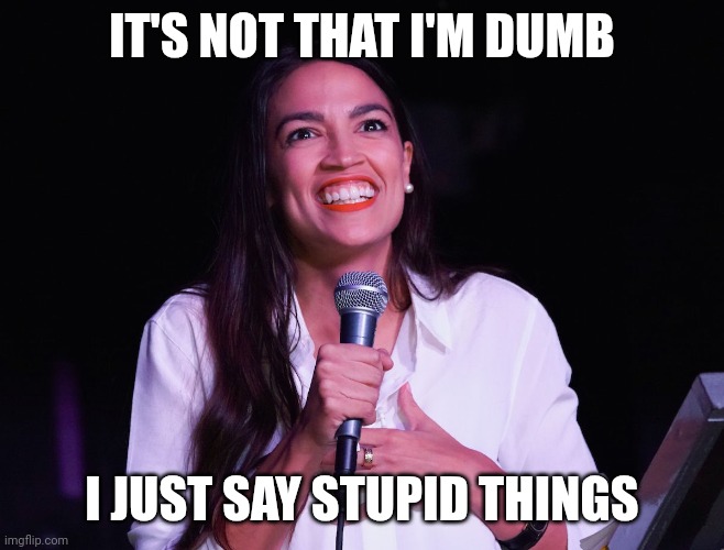 Stupid | IT'S NOT THAT I'M DUMB; I JUST SAY STUPID THINGS | image tagged in aoc crazy,funny memes | made w/ Imgflip meme maker