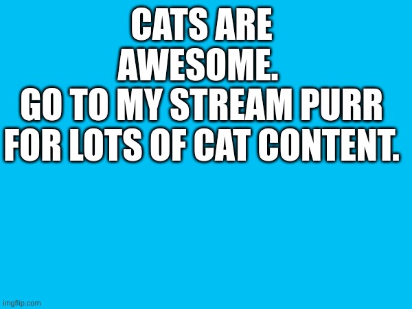 PLEASE VISIT AND FOLLOW MY STREAM | CATS ARE AWESOME. 
GO TO MY STREAM PURR
FOR LOTS OF CAT CONTENT. | image tagged in cat,stream,first page | made w/ Imgflip meme maker