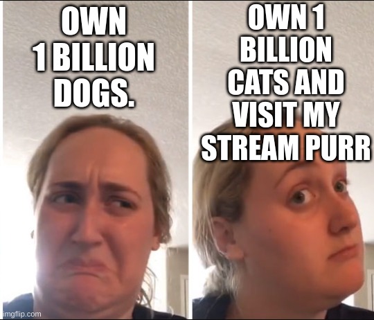 Kombucha Girl | OWN 1 BILLION CATS AND VISIT MY STREAM PURR; OWN 1 BILLION DOGS. | image tagged in kombucha girl | made w/ Imgflip meme maker