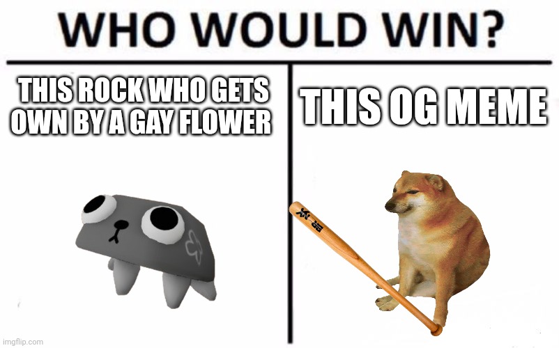 Memes | THIS ROCK WHO GETS OWN BY A GAY FLOWER; THIS OG MEME | image tagged in memes,who would win | made w/ Imgflip meme maker