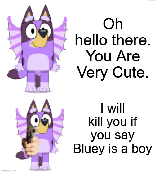 I think you need to be a little careful around Liberty... | Oh hello there. You Are Very Cute. I will kill you if you say Bluey is a boy | image tagged in calm liberty gun liberty | made w/ Imgflip meme maker