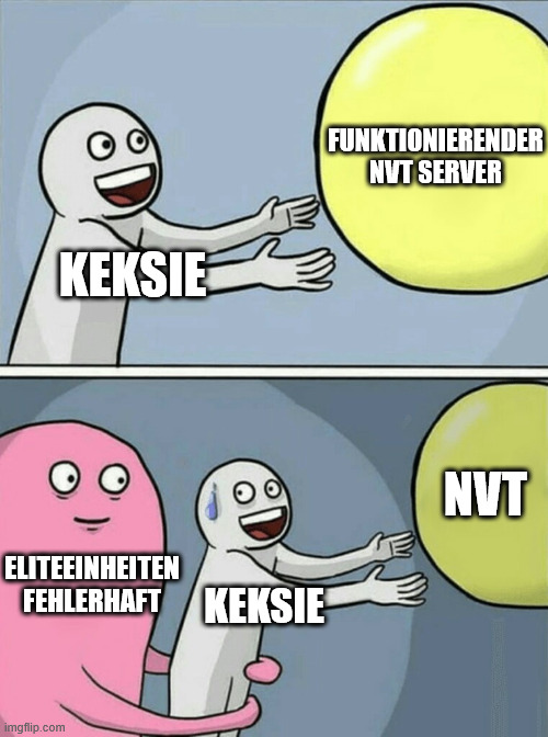 Running Away Balloon Meme | FUNKTIONIERENDER NVT SERVER; KEKSIE; NVT; ELITEEINHEITEN FEHLERHAFT; KEKSIE | image tagged in memes,running away balloon | made w/ Imgflip meme maker