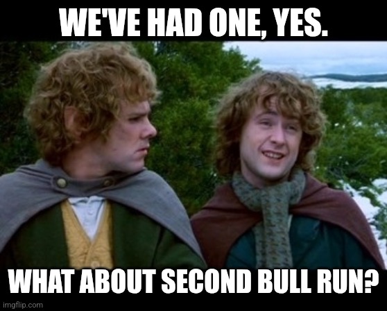 what about second breakfast | WE'VE HAD ONE, YES. WHAT ABOUT SECOND BULL RUN? | image tagged in what about second breakfast | made w/ Imgflip meme maker