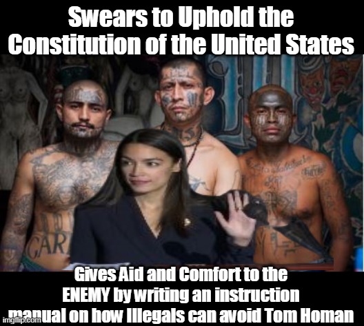 Just Stupid? BUT WAIT ! There's More ! | Swears to Uphold the Constitution of the United States; Gives Aid and Comfort to the ENEMY by writing an instruction manual on how Illegals can avoid Tom Homan | image tagged in aoc tells illegals how to not get deported meme | made w/ Imgflip meme maker