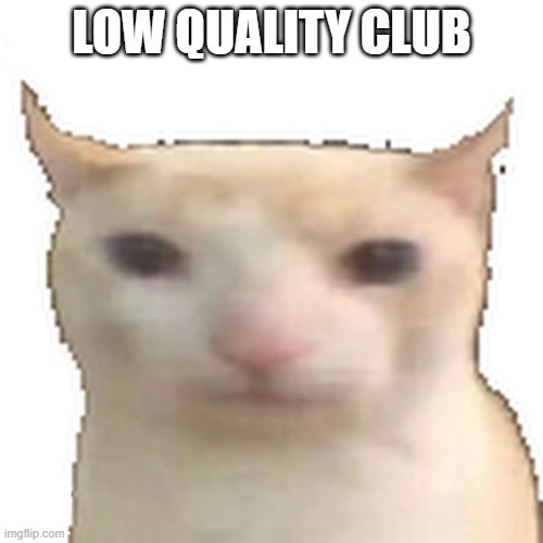 Low quality club | LOW QUALITY CLUB | image tagged in low quality cat | made w/ Imgflip meme maker