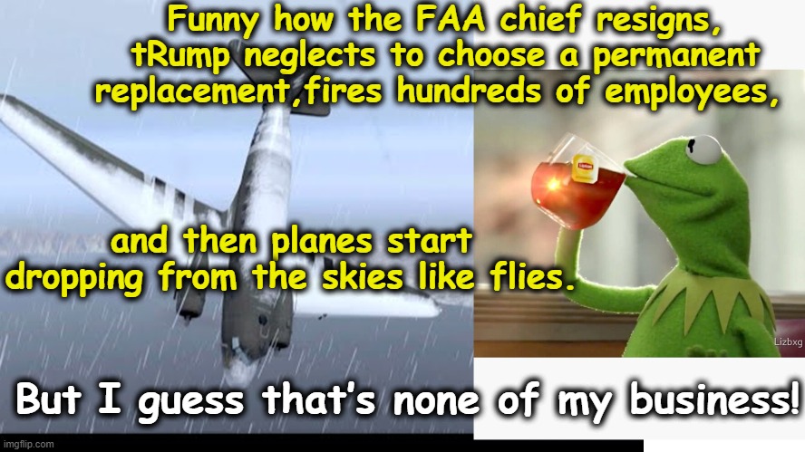 Planes dropping from the skies | Funny how the FAA chief resigns, tRump neglects to choose a permanent replacement,fires hundreds of employees, and then planes start dropping from the skies like flies. But I guess that’s none of my business! | image tagged in but that's none of my business,donald trump approves,maga,fascists,10 moments before disaster,donald trump memes | made w/ Imgflip meme maker