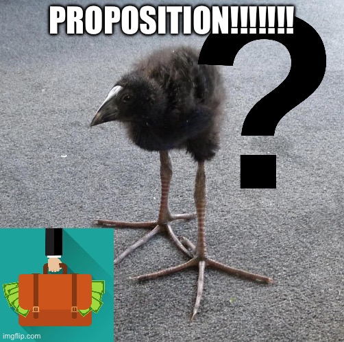 Pukeko chick | PROPOSITION!!!!!!! | image tagged in pukeko chick | made w/ Imgflip meme maker