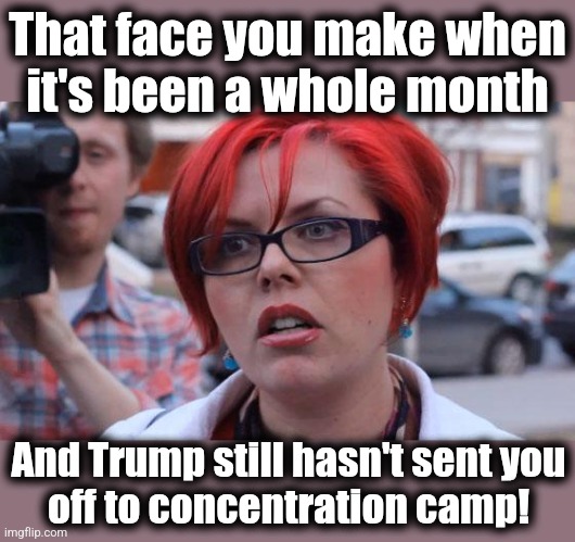 Puzzled Feminist | That face you make when
it's been a whole month; And Trump still hasn't sent you
off to concentration camp! | image tagged in angry feminist,memes,trump derangement syndrome,concentration camp,democrats,puzzled feminist | made w/ Imgflip meme maker