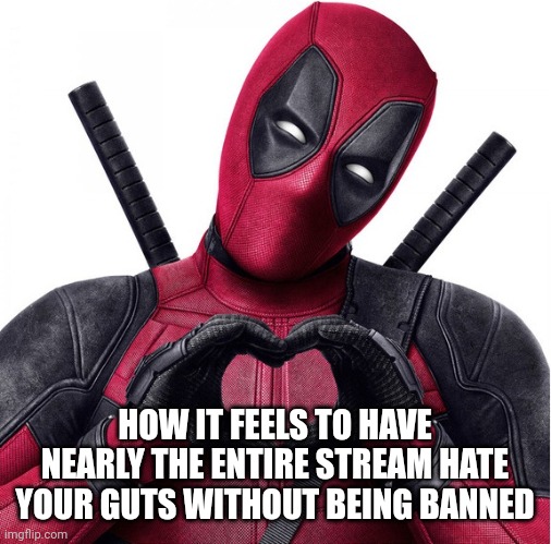 I have mod too Let's see how long it lasts | HOW IT FEELS TO HAVE NEARLY THE ENTIRE STREAM HATE YOUR GUTS WITHOUT BEING BANNED | image tagged in deadpool heart | made w/ Imgflip meme maker