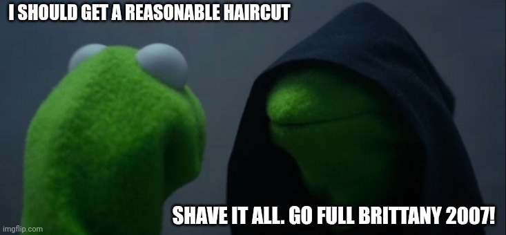 Evil Kermit | I SHOULD GET A REASONABLE HAIRCUT; SHAVE IT ALL. GO FULL BRITTANY 2007! | image tagged in memes,evil kermit | made w/ Imgflip meme maker