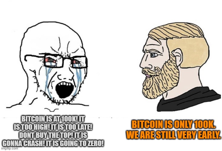 Bitcoin is only 100k | BITCOIN IS ONLY 100K. WE ARE STILL VERY EARLY. BITCOIN IS AT 100K! IT IS TOO HIGH! IT IS TOO LATE! DONT BUY THE TOP! IT IS GONNA CRASH! IT IS GOING TO ZERO! | image tagged in soyboy vs yes chad | made w/ Imgflip meme maker