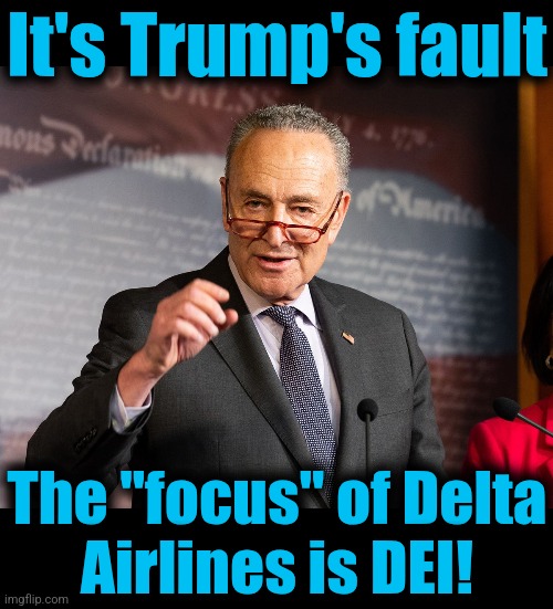 What democrats are crazy enough to believe | It's Trump's fault; The "focus" of Delta
Airlines is DEI! | image tagged in chuck schumer scold,memes,trump derangement syndrome,delta airlines,dei,diversity | made w/ Imgflip meme maker