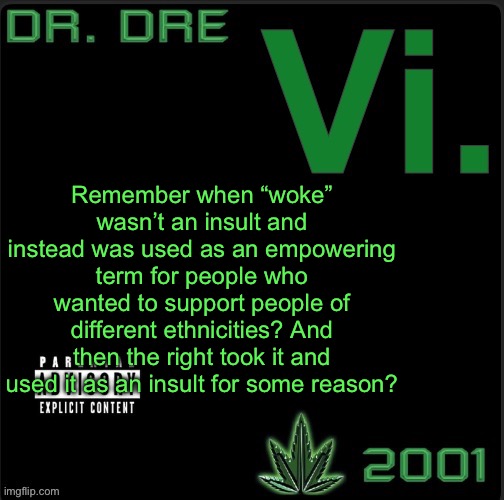 Vi. template | Remember when “woke” wasn’t an insult and instead was used as an empowering term for people who wanted to support people of different ethnicities? And then the right took it and used it as an insult for some reason? | image tagged in vi template | made w/ Imgflip meme maker