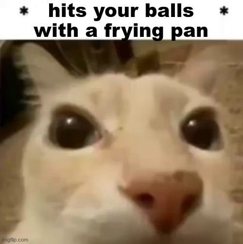 X your balls | hits your balls with a frying pan | image tagged in x your balls | made w/ Imgflip meme maker