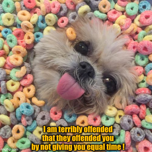 froot loop doogo | I am terribly offended that they offended you by not giving you equal time ! | image tagged in froot loop doogo | made w/ Imgflip meme maker