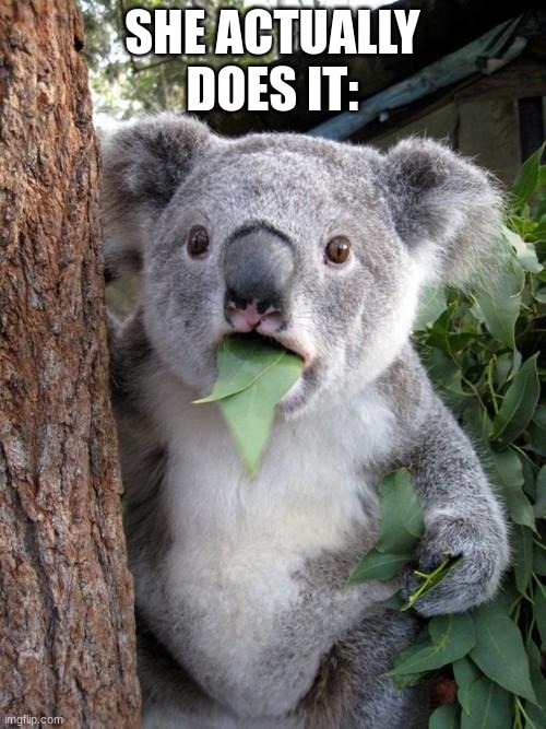 SHE ACTUALLY DOES IT: | image tagged in memes,surprised koala | made w/ Imgflip meme maker