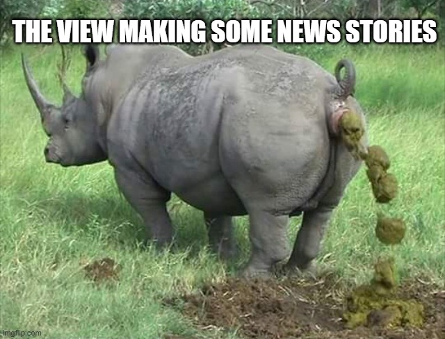 Rino | THE VIEW MAKING SOME NEWS STORIES | image tagged in rino | made w/ Imgflip meme maker