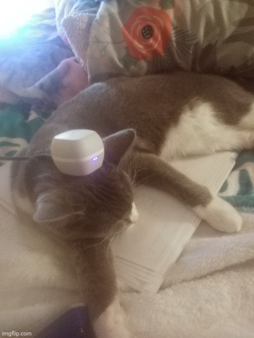 Shes charging | made w/ Imgflip meme maker