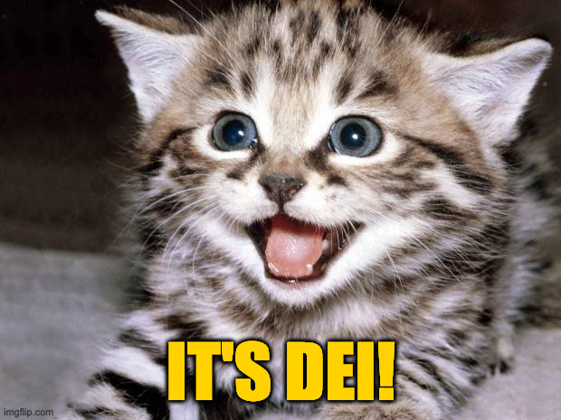 Uber Cute Cat | IT'S DEI! | image tagged in uber cute cat | made w/ Imgflip meme maker