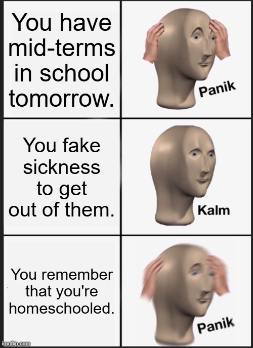 *wasted* | You have mid-terms in school tomorrow. You fake sickness to get out of them. You remember that you're homeschooled. | image tagged in memes,panik kalm panik,homeschool,sickness | made w/ Imgflip meme maker